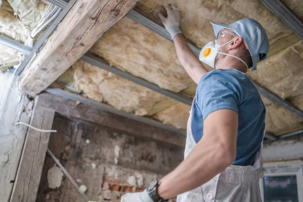 Best Types of Insulation in Edgewood, FL