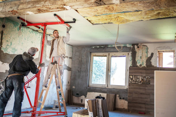 Best Insulation Maintenance and Repair in Edgewood, FL